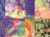 Eyes Dark mystery enigma bird (2024)