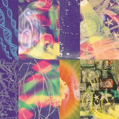 Nap Eyes - Dark mystery enigma bird (2024)