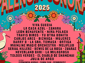 Palencia Sonora 2025, confirmaciones