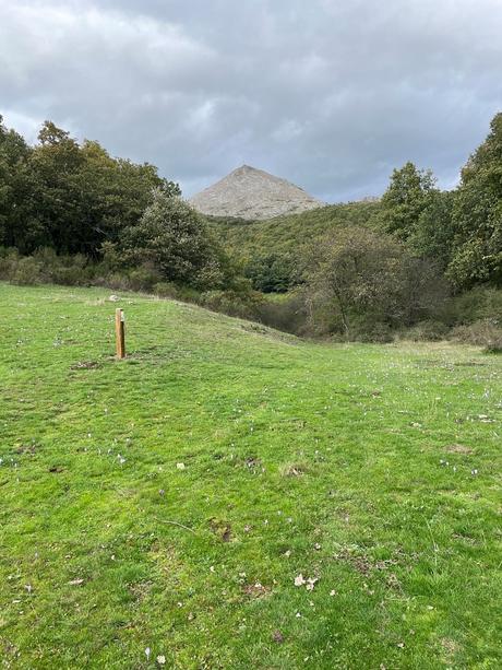 La venganza del Conde