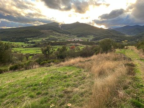 La venganza del Conde