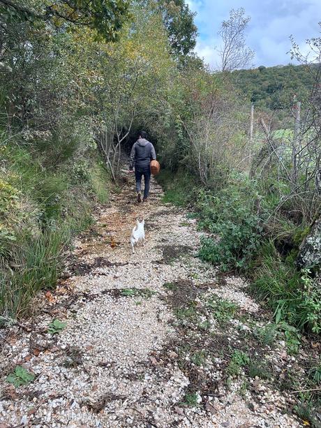 La venganza del Conde