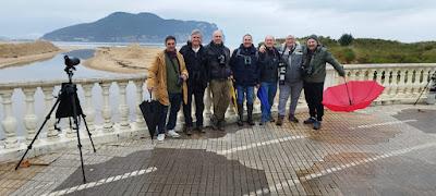 LAREDO, LUGAR DE INVERNADA SI ERES UNA GAVIOTA