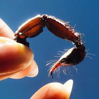 Squid estrena Building 650 como adelanto de su disco Cowards