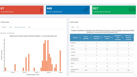 OPS lanza tablero interactivo para monitorear influenza aviar A(H5N1) en las Américas