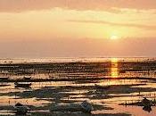 Rambalaya: 'take your advice'