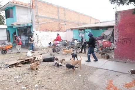 DIF Municipal interviene en apoyo a adulto mayor que vivía en condiciones insalubres en SLP