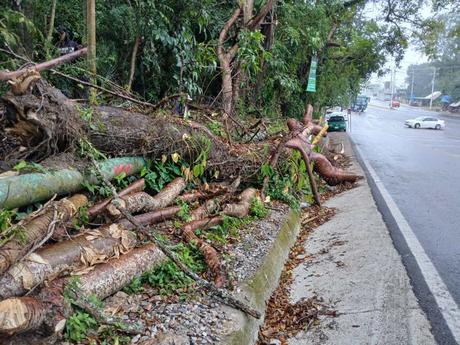 Rehabilitan carretera Xolol-Tancanhuitz en la Huasteca sur tras afectaciones por lluvias Rehabilitan carretera Xolol-Tancanhuitz en la Huasteca sur tras afectaciones por lluvias