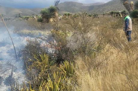 Protección Civil atiende incendio en tramo de maleza en la carretera a Matehuala