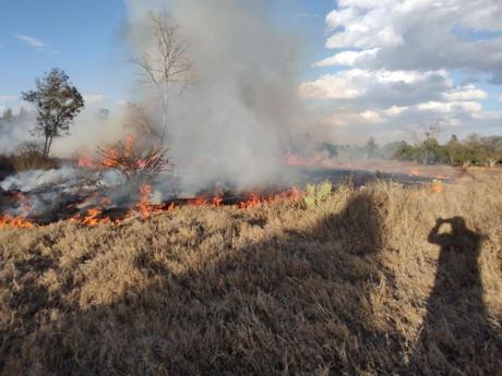 Controlan incendio en el Parque Tangamanga I; afectada una hectárea