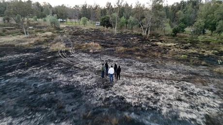 Controlan incendio en el Parque Tangamanga I; afectada una hectárea