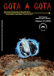 Abrimos GOTA A GOTA nº 33 (2025)