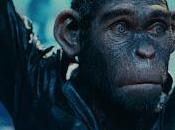 Better Man; complejidad fama