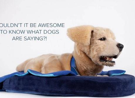 Lo mejor del CES 2025: Nuevos usos para IA, dispositivos, chips y más Lo mejor del CES 2025: Nuevos usos para IA, dispositivos, chips y más