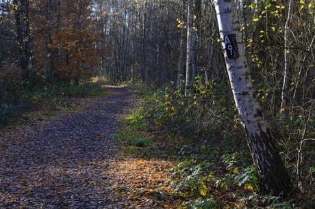 La cabezuela cafetería restaurante y buffet libre: tu próximo destino soñado