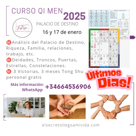 Curso Qi Men Palacio de Vida 2025