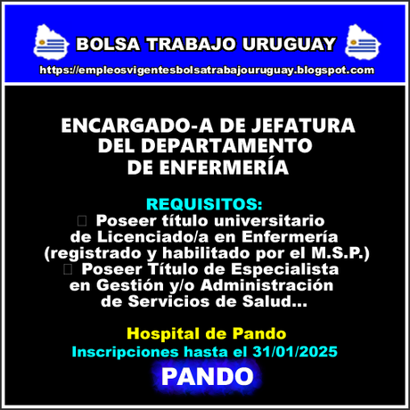 ENCARGADO-A DE JEFATURA DEL DEPARTAMENTO DE ENFERMERÍA ENCARGADO-A DE JEFATURA DEL DEPARTAMENTO DE ENFERMERÍA