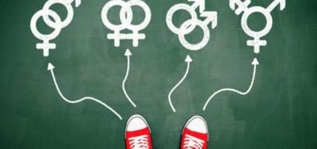 Más allá de la inclusión: Las políticas de género y sus consecuencias irreversibles