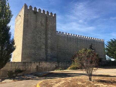 Las lápidas funerarias hebreas de Monzón de Campos
