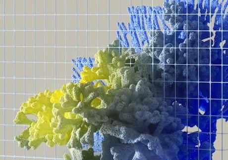 Un recorrido por americana coral: lo mejor para viajeros