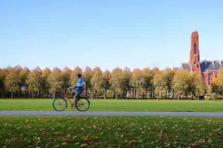 Planifica tu aventura a alquiler bicicletas Jaca con estas recomendaciones exclusivas