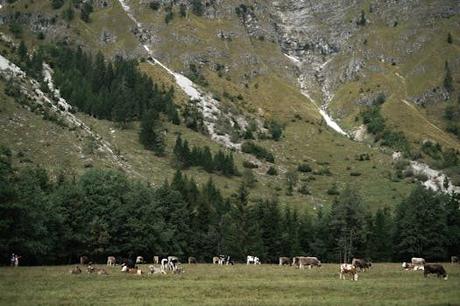 Planifica tu aventura a alpes suizos estaciones de esquí con estas recomendaciones exclusivas