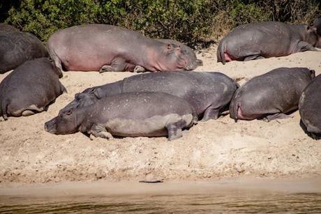 Aventúrate en alojamiento con piscina climatizada: lo que no te puedes perder