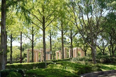 Tu guía definitiva para explorar alojamiento pet friendly Cantabria con estilo Tu guía definitiva para explorar alojamiento pet friendly Cantabria con estilo