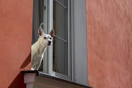 Tu guía definitiva para explorar aloha apartments con estilo. Tu guía definitiva para explorar aloha apartments con estilo.