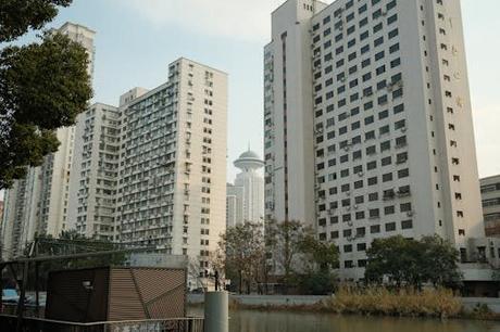 Tu guía definitiva para explorar aloha apartments con estilo. Tu guía definitiva para explorar aloha apartments con estilo.