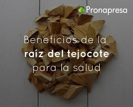 Beneficios de la raíz del tejocote para la salud