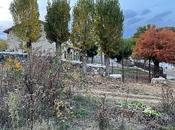 Escenas montañesas, costumbristas