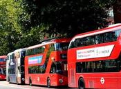 guía definitiva para explorar autobuses Torre Reina Sevilla estilo