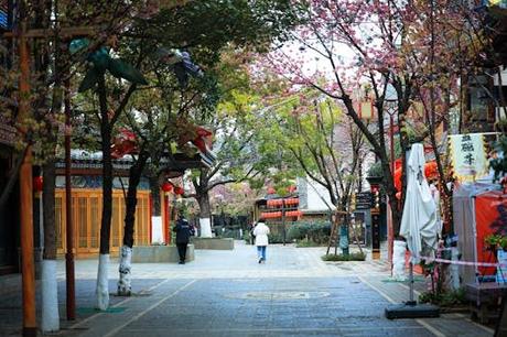 Explorando Atlantis Park Punta del Hidalgo: una experiencia única y emocionante