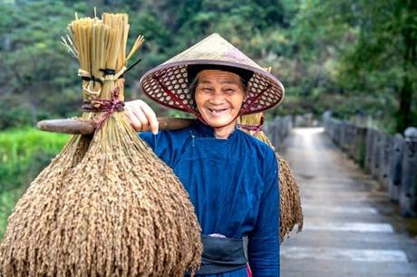 Planifica tu aventura a asian garden menu con estas recomendaciones exclusivas