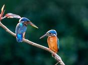 Planifica aventura apartment azul estas recomendaciones exclusivas