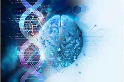 ¿Es útil la donación de cerebro para la investigación del autismo?