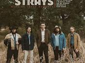 Clay Strays Wanna loved (2024)