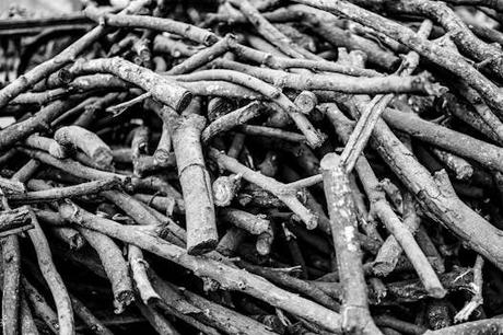 Descubriendo el sur de la India