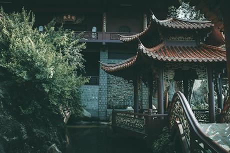 Ta Prohm, el templo devorado por la selva