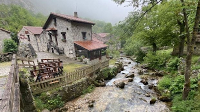 Bitácora 16/01/2025: Visita