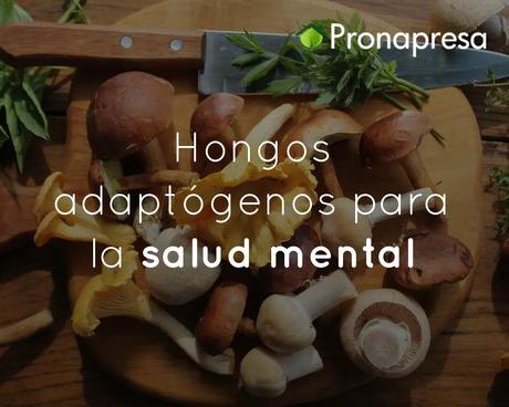 Hongos adaptógenos para la salud mental