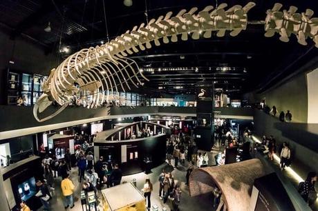 parque de las ciencias de Granada