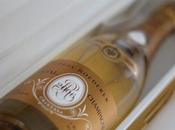 cielo jardines hotel burbuja: próximo destino soñado espera