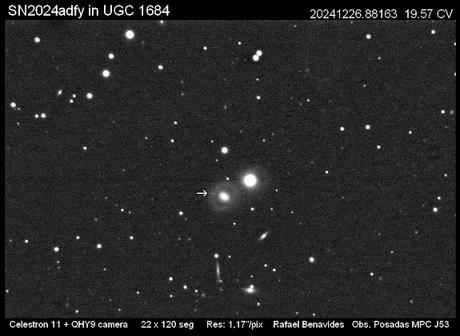 SN2024adfy en UGC 1684 SN2024adfy en UGC 1684