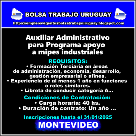 Auxiliar Administrativo para Programa apoyo a mipes industriales