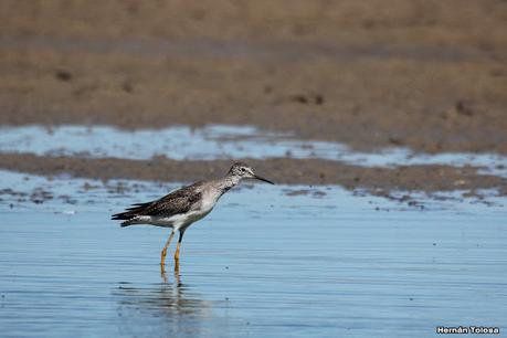 Salida a Ramón Biaus