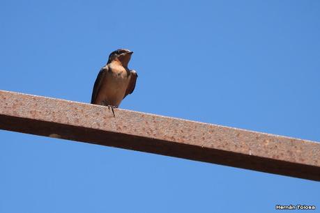 Salida a Ramón Biaus