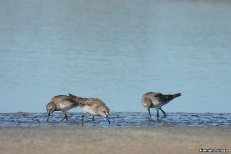 Salida a Ramón Biaus