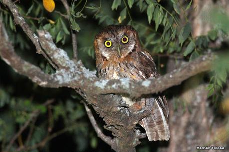 Salida a Ramón Biaus